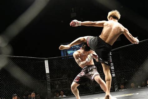 MMA vs Boxing - Which One is More Effective? - MMA TODAY