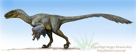 Balaur Pictures & Facts - The Dinosaur Database