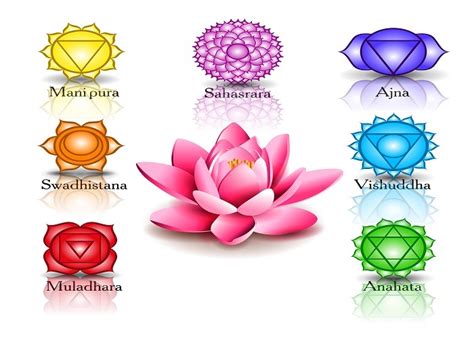 The 8th Chakra [How to Awaken Our Soul Star Chakra] | Self-Discovery ...