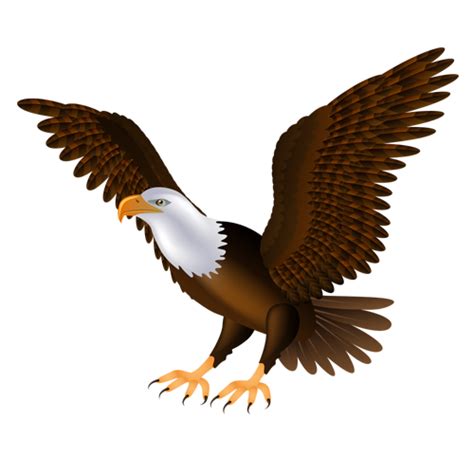 Eagle PNG Image - PurePNG | Free transparent CC0 PNG Image Library