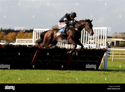 Horse Racing - Wetherby Racecourse Stock Photo - Alamy