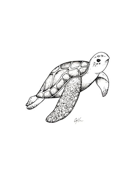 Sea turtle drawing, animal illustration, nursery wall decor, kids room decor, nautical wall art ...