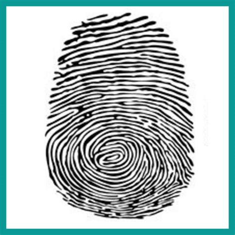 What Is a Fingerprint? Let’s Get to the Bottom of It