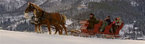 colorado horse drawn sleigh rides pictures - Google Search | Steamboat springs, Sleigh ride ...