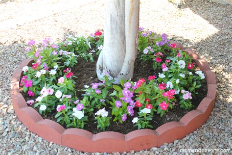 Adding Curb Appeal on a Budget: DIY Tree Ring Flower Planter