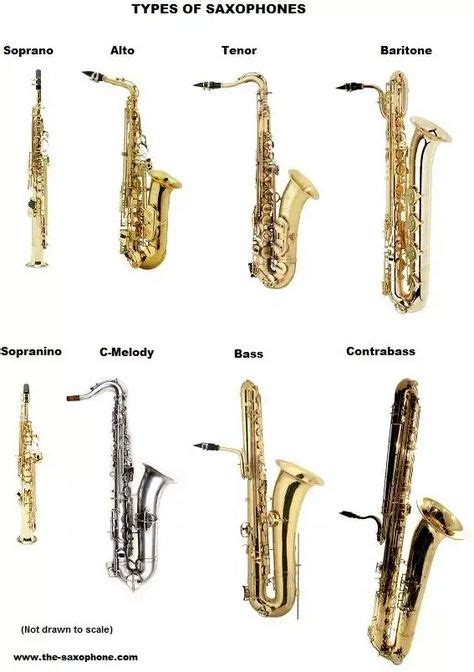 17 Saxophone jokes ideas | saxophone, saxophone jokes, saxaphone