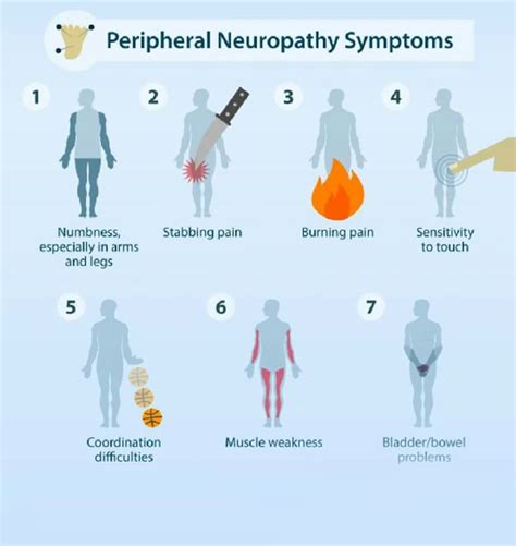 Five Things To Look For In A Neuropathy Supplement - Fitneass