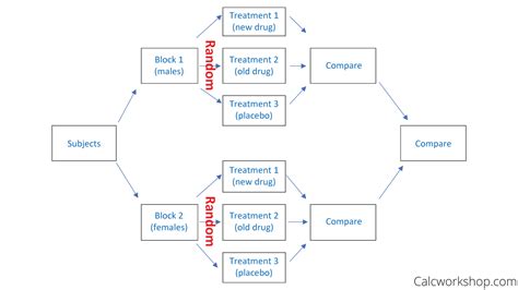 What Is A Completely Randomized Block Design - Design Talk