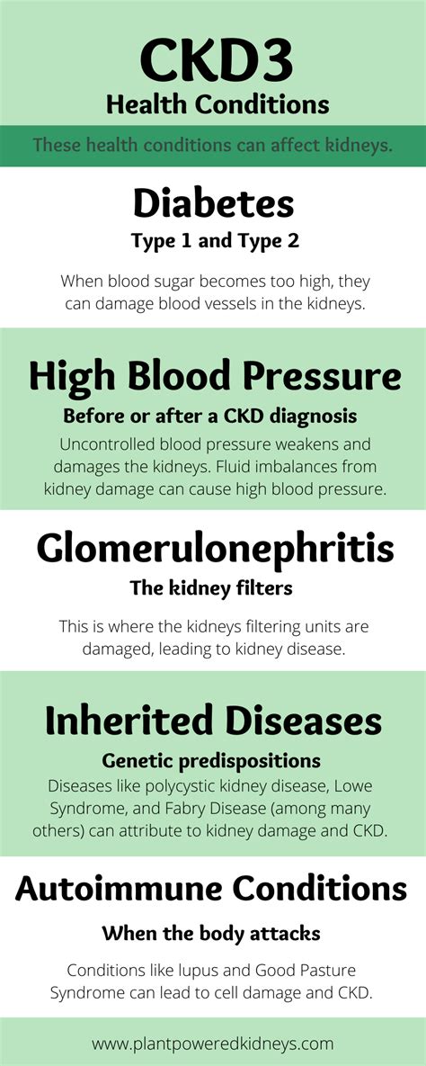 Stage 3 Kidney Disease: The Ultimate Guide to a Healthy Diet