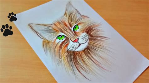 How to Draw a Cat || Easy Cat Drawing With Colored Pencils - YouTube