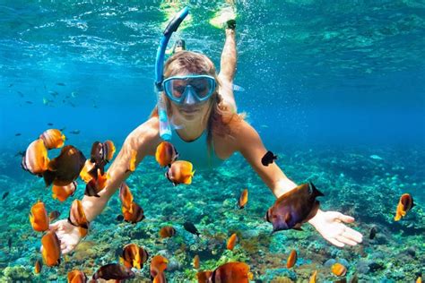 Snorkel in Isla Mujeres | Skulls Landing Hotel
