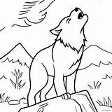 Majestic Howling Wolf Coloring Page 6967 5672 sketch template