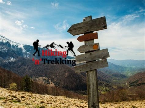 Are There Any Advanced Techniques For Using Trekking Poles? - Hike N Trekking hikent.com