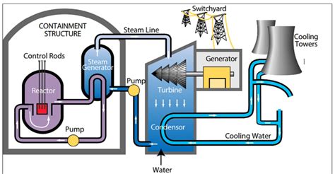 Nuclear Power Plant Diagram: A Complete Guide 2023 | Linquip