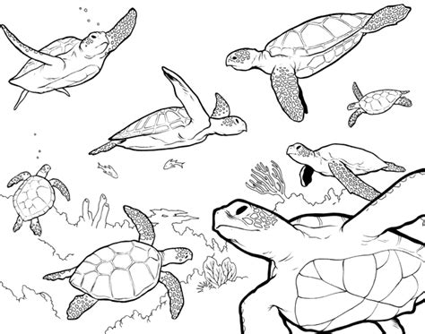 Ocean Plants Coloring Pages at GetDrawings | Free download