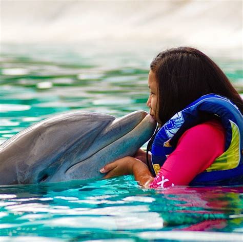 Hawaii Mom Blog: Dolphin Encounter at Sea Life Park