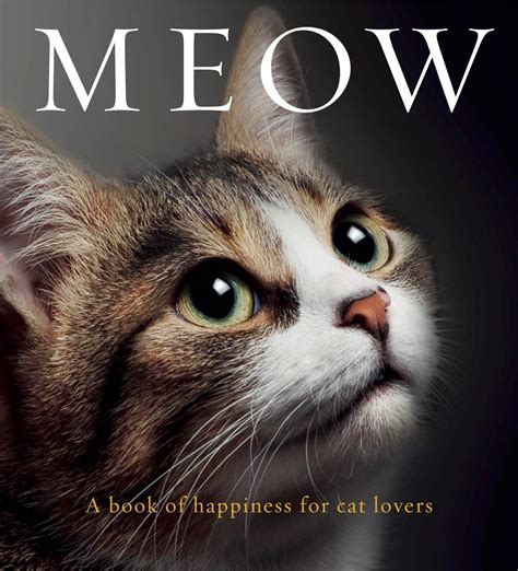 Mews: MEOW - A book of happiness for cat lovers - Katzenworld