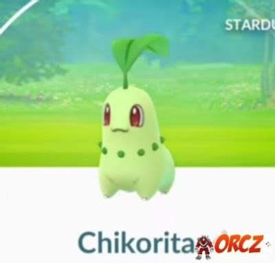 Pokemon Go: Chikorita - Orcz.com, The Video Games Wiki