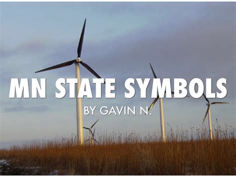 MN State Symbols by Gavin Nielsen