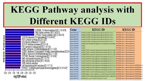 KEGG Pathway Analysis with different IDs - YouTube