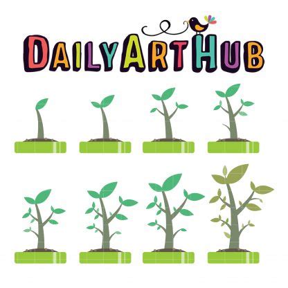 Plants Growth Cycle Clip Art Set – Daily Art Hub – Free Clip Art Everyday