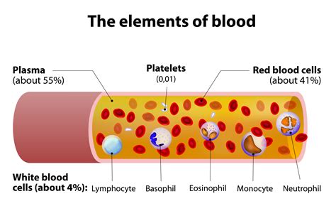 Blood Platelets Not Seen as Cause of Inflammation in CF