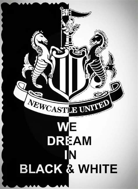 Newcastle United | Newcastle united football, Newcastle united ...