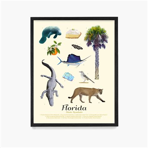 Florida State Symbols Poster Florida Art Florida Poster - Etsy Canada