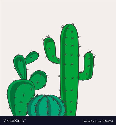 Cactus desert plants Royalty Free Vector Image