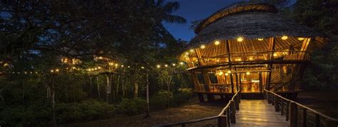 Treehouse Lodge | Peruvian Amazon