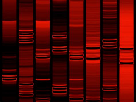 DNA Art — A Masterpiece of Creation - Sally Kirchell - Medium