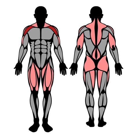 How to Do Push Press: Muscles Worked & Proper Form – StrengthLog