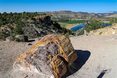 Escalante Petrified Forest State Park – Escalante, Utah | The Trek Planner