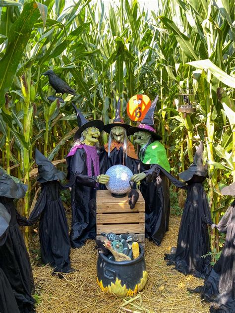 The Best Farms Near Cleveland for Corn Mazes, Pumpkin Patches, and More Fall Fun