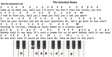 overlook Pouch ticket how to play the scientist on piano Arena Night shit