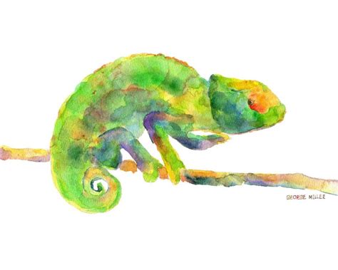 Watercolor Chameleon at GetDrawings | Free download