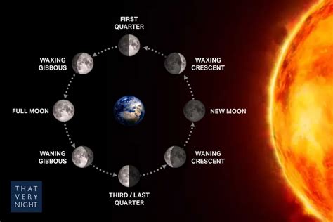 The 8 Phases of The Moon and Their Meanings - THAT VERY NIGHT