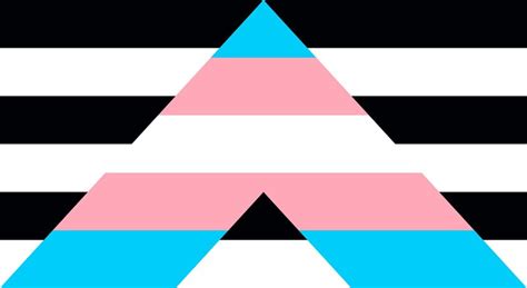 Premium Vector | LGBTQ Rights Pride Flag of Straight Ally flag combined with Transgender flag Vector