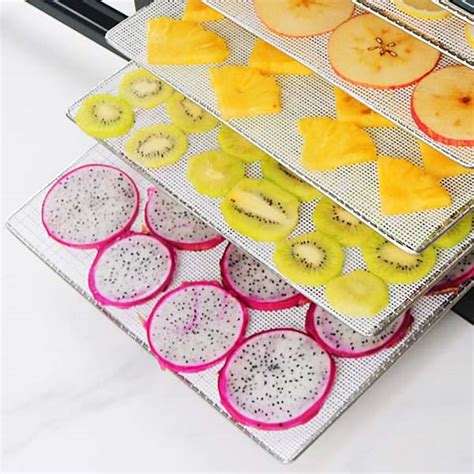 6 Tray electrical Food dehydrator| Commercial Fruit Dryer