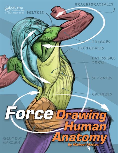 FORCE: Drawing Human Anatomy | Taylor & Francis Group