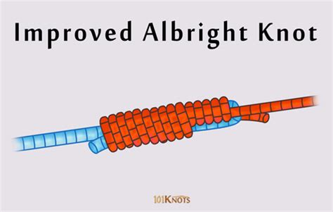 How to Tie an Improved Albright Knot? Tips, Steps & Uses