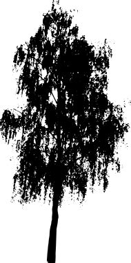 Free download | HD PNG tree silhouette black oak tree line art PNG ...