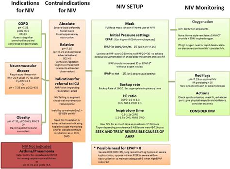 Summary for providing acute non-invasive ventilation (NIV). | Download ...