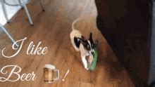 Puppy Beer GIF - Puppy Beer ILikeBeer - Discover & Share GIFs