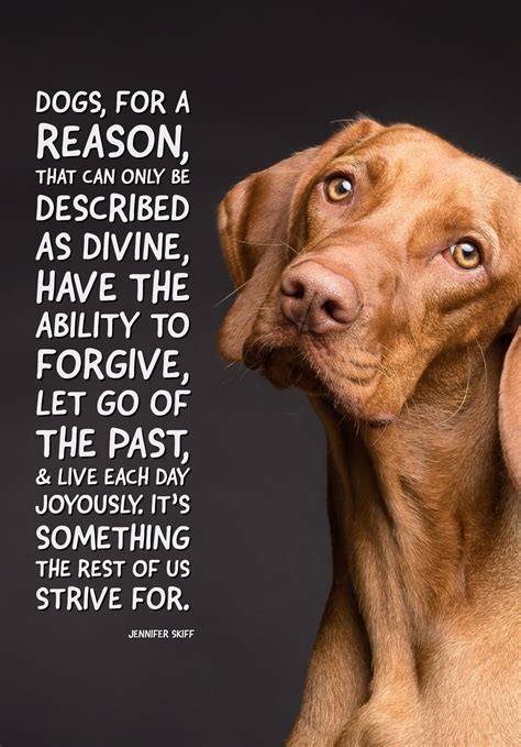 Rescue Dog Quotes – VitalCute