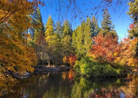 Where to See Spectacular Fall Colors in Southern Oregon