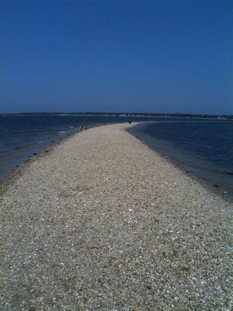 Cedar Point- Little Peconic Bay, Long Island NY | Long island ny, Places to go, Fire island