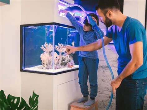 How Often To Change Aquarium Water: Best Methods & Reasons