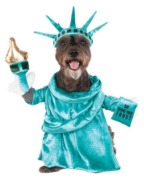 Statue of Liberty Costume