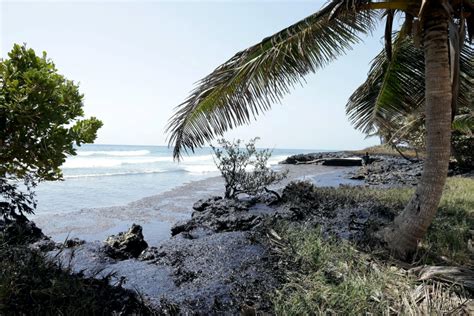 Tides move oil spill away from Tobago to the Caribbean Sea, cleanup ...